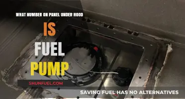 Locate Your Fuel Pump: Identifying the Panel Number Under the Hood