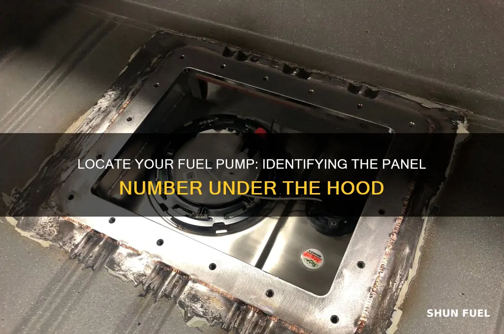 what number on panel under hood is fuel pump