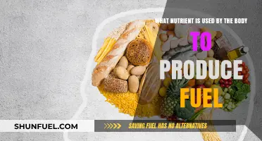 Unlocking Energy: The Essential Nutrient for Fuel Production