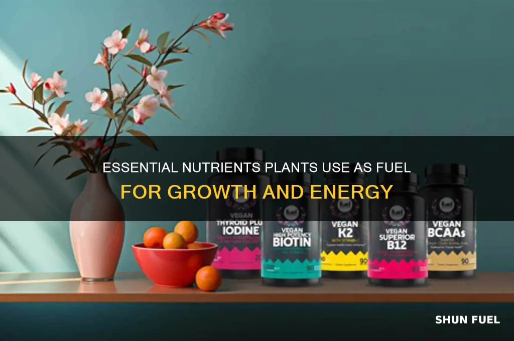 what nutrients do plants use as fuel