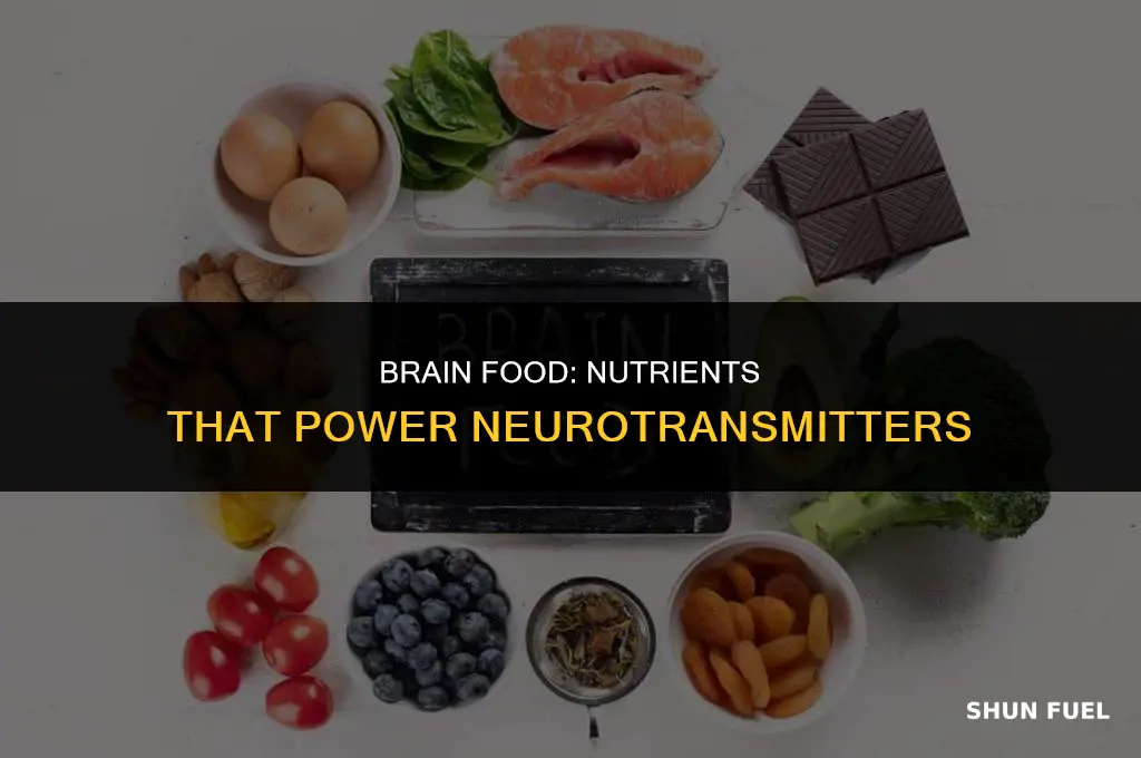 what nutrients fuel neurotransmitters