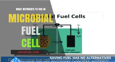 Essential Nutrients for Optimal Microbial Fuel Cell Performance and Efficiency