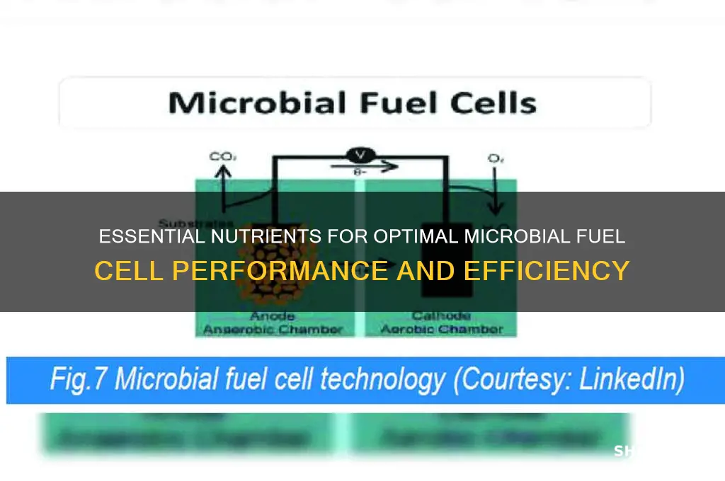 what nutrients to use in microbial fuel cell