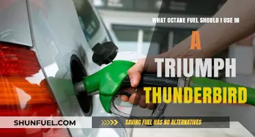 Choosing the Right Octane Fuel for Your Triumph Thunderbird