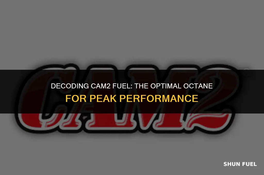 what octane is cam2 fuel