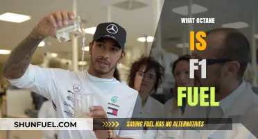 Unleashing Power: The Octane Secrets of F1 Fuel