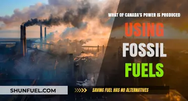 Canada's Energy Mix: Fossil Fuels' Dominance in Power Generation