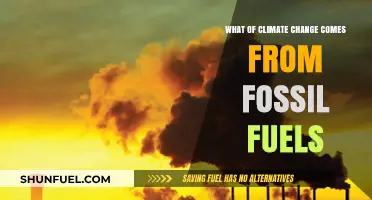 Fossil Fuels' Role in Driving Climate Change: A Critical Analysis