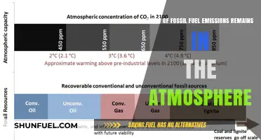 How Much of Fossil Fuel Emissions Persist in Our Atmosphere?