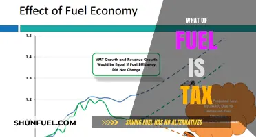 Exploring the Impact of Fuel Taxes on Consumers and the Economy