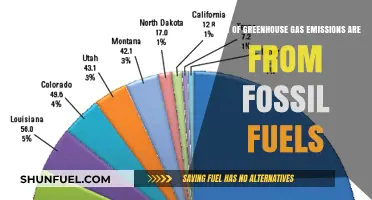 Fossil Fuels' Dominant Role in Global Greenhouse Gas Emissions