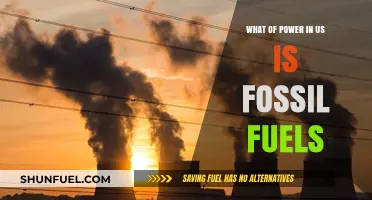 Fossil Fuels: The Dominant Power Source Shaping America's Energy Landscape