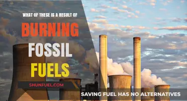 Burning Fossil Fuels: Unveiling the Devastating Environmental Consequences