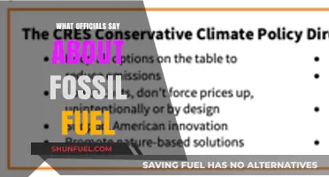 Officials Speak Out: The Truth About Fossil Fuel Policies