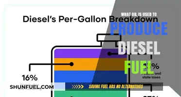 Diesel Fuel: What Oil is Used and Why