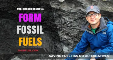 How Ancient Organic Matter Transforms into Fossil Fuels Over Millennia