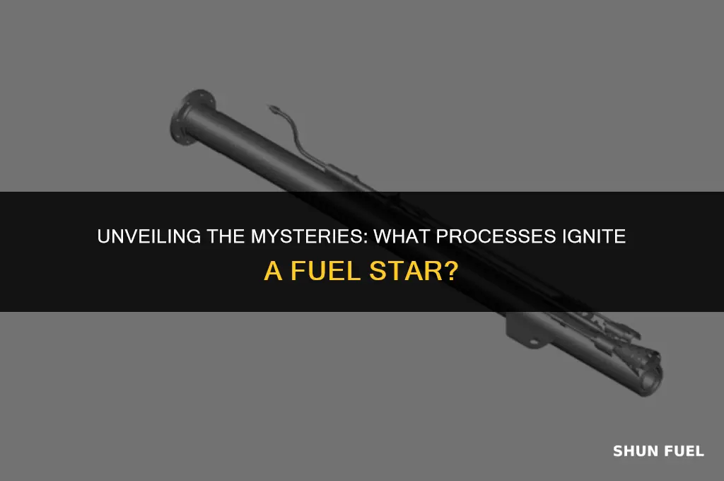 what orocesses a fuel star