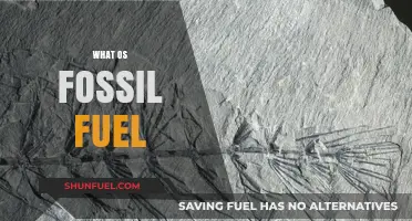 Understanding Fossil Fuels: Origins, Uses, and Environmental Impact Explained