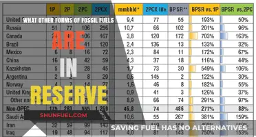 Exploring Global Reserves: Beyond Oil, What Fossil Fuels Await Extraction?