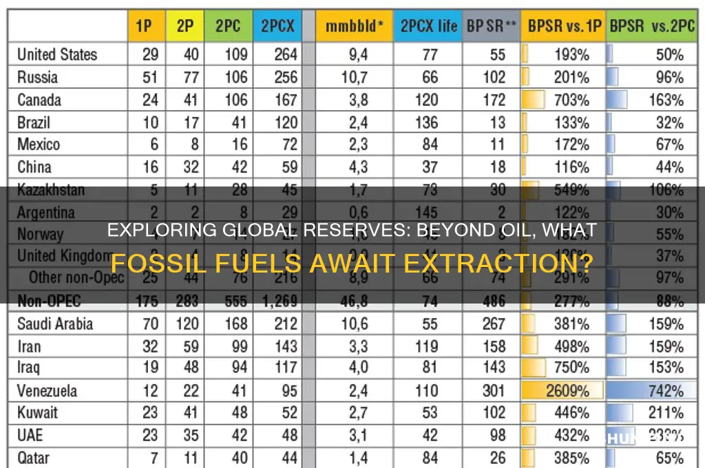 what other forms of fossil fuels are in reserve
