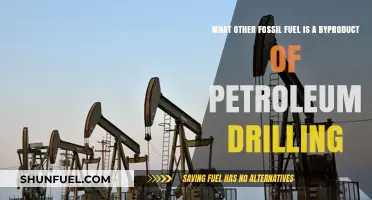 Uncovering Natural Gas: A Hidden Fossil Fuel from Petroleum Drilling
