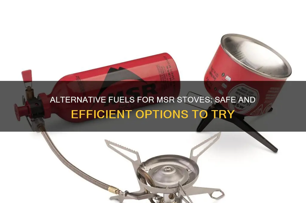 what other fuel can i use for my msr