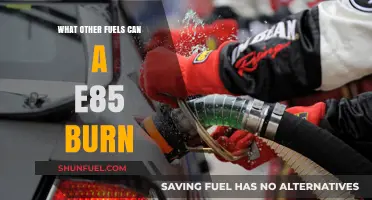 Exploring Alternative Fuels: What Else Can an E85 Engine Burn?