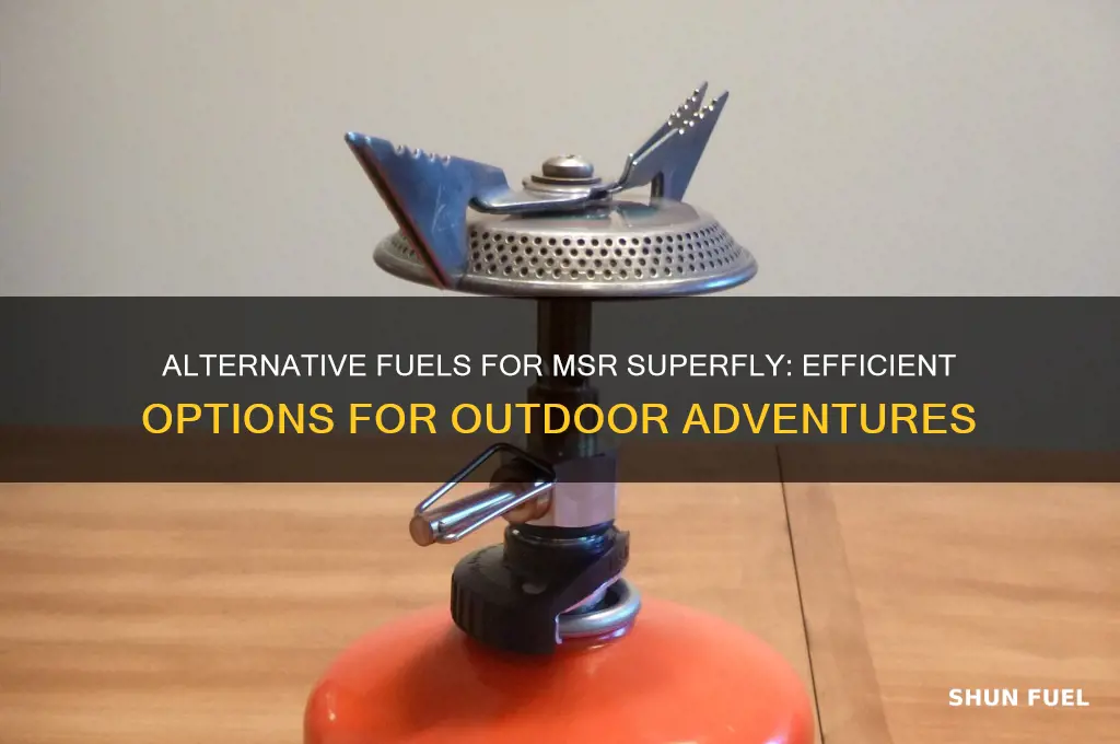 what other fuels can i use with my msr superfly