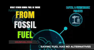 Exploring Alternative Fuels: Beyond Fossil Fuels for a Sustainable Future