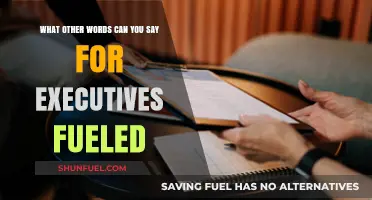 Alternative Phrases for Executives Fueled: Creative Ways to Describe Leadership Drive