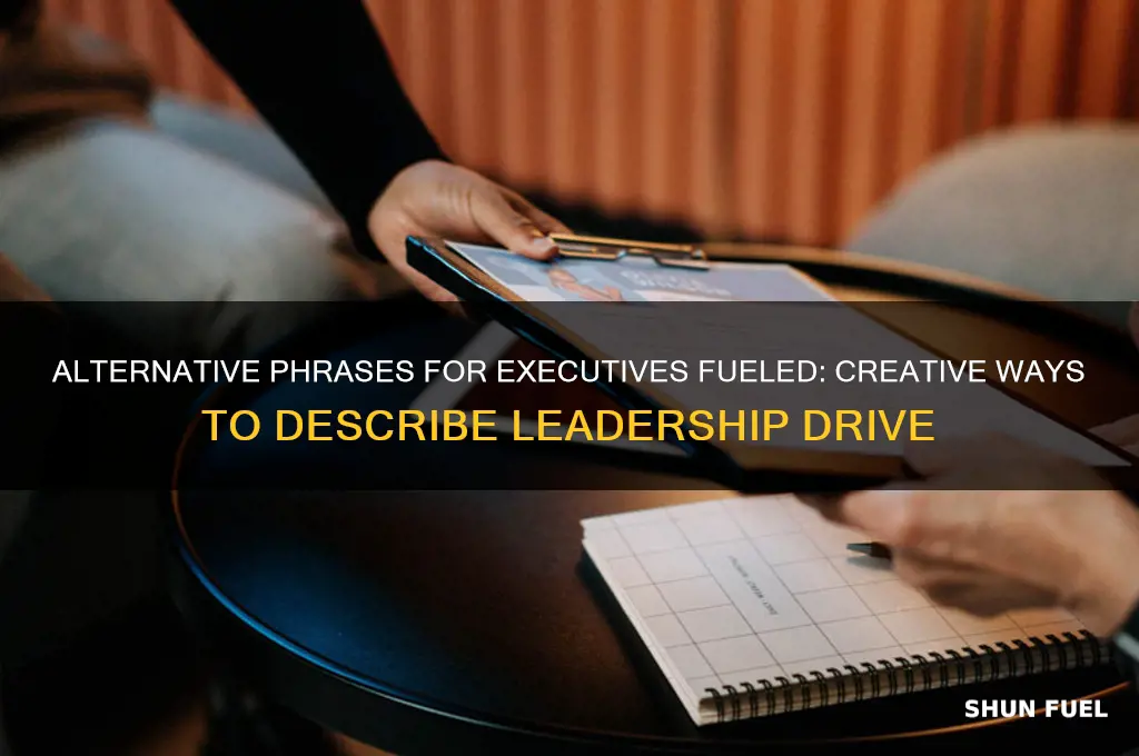what other words can you say for executives fueled