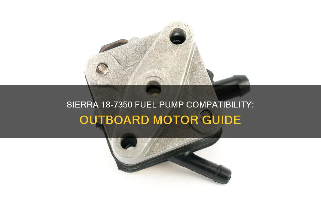 what outboards does this work on sierra 18-7350 fuel pump