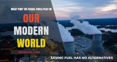 Fossil Fuels' Role in Shaping Our Modern World Today