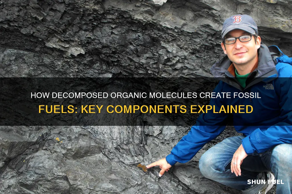 what part of a decoposed molecule forms fossil fuels