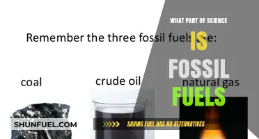 Fossil Fuels: Uncovering Their Scientific Origins and Environmental Impact