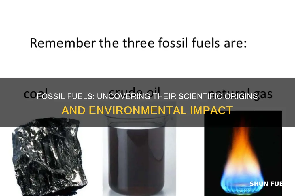 what part of science is fossil fuels