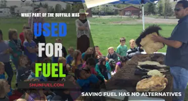 Buffalo Fuel: Uncovering the Surprising Part Used for Energy