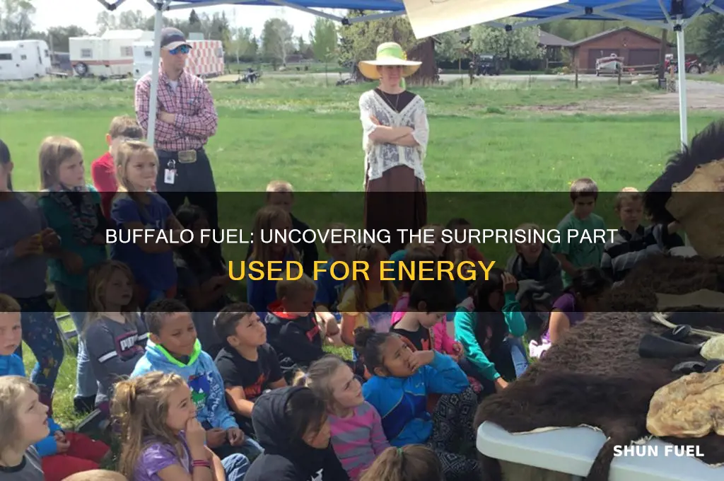 what part of the buffalo was used for fuel