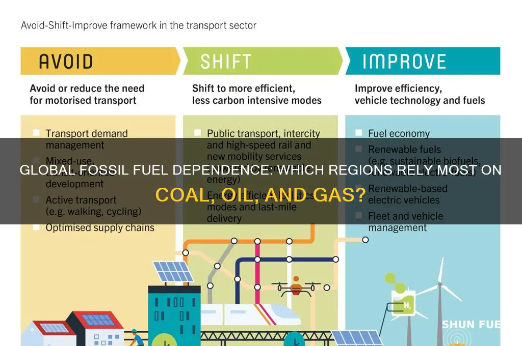 what part of the world uses fossil fuels