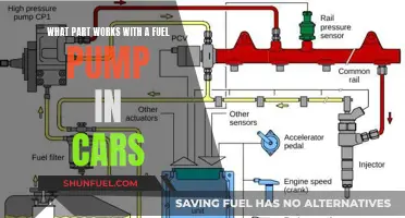 Fuel Pump Partners: Understanding Interconnected Car Parts