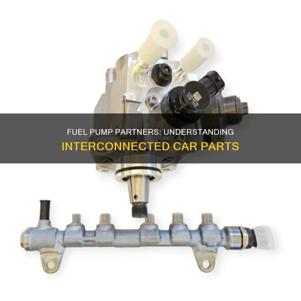 what part works with a fuel pump in cars