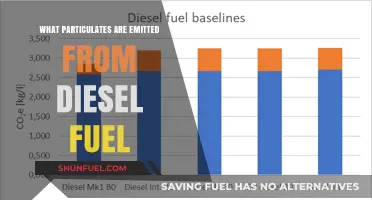 Diesel Fuel Emissions: Understanding the Particulate Matter