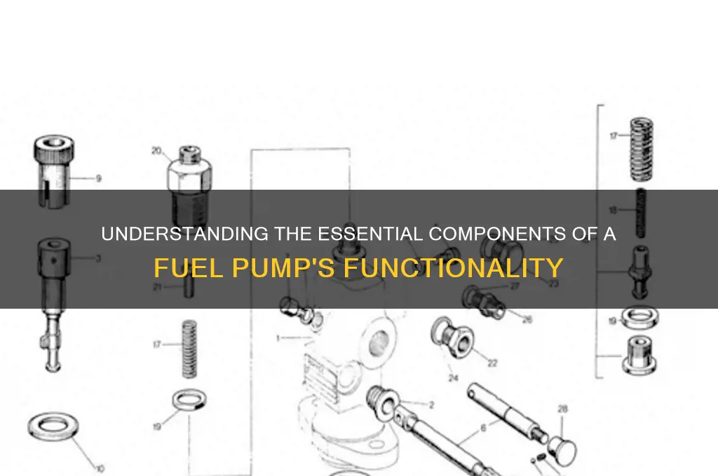 what parts make a fuel pump