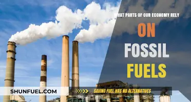 Fossil Fuels' Grip: Industries and Sectors Still Dependent on Carbon Energy