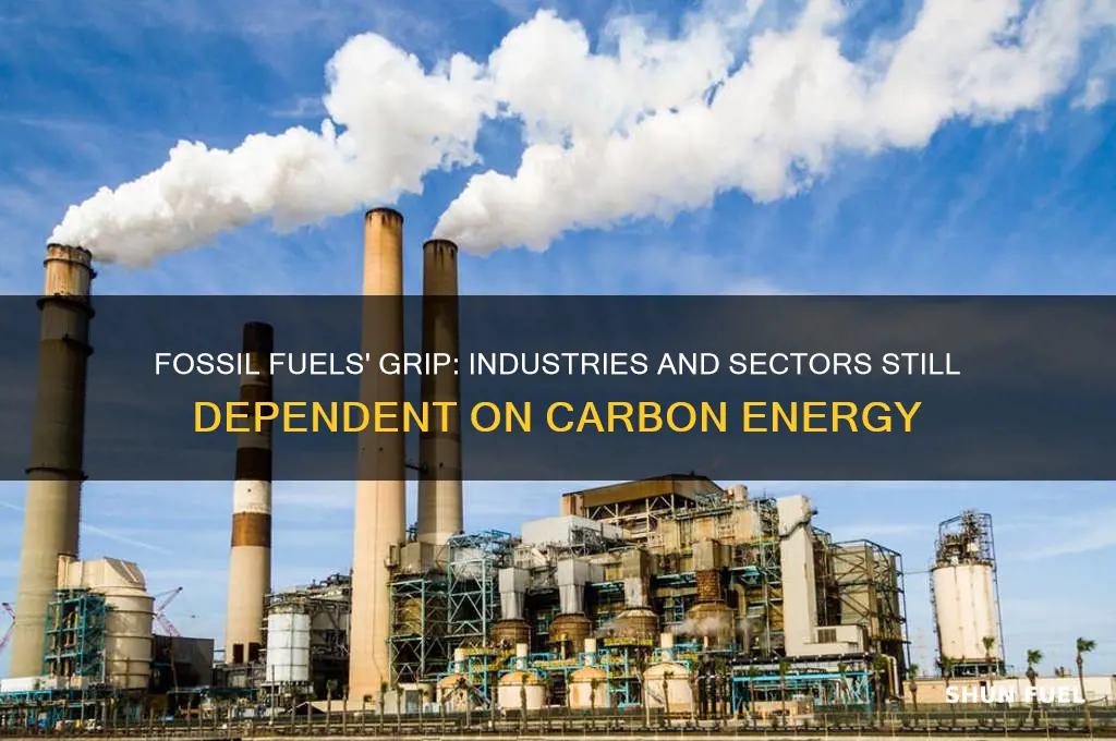 what parts of our economy rely on fossil fuels