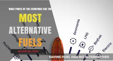 Global Leaders in Alternative Fuels: Which Countries Top the List?