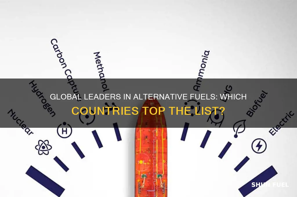 what parts of the countries use the most alternative fuels