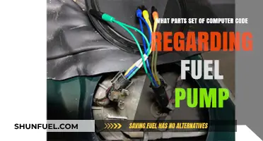 Understanding Computer Code Components for Fuel Pump Systems