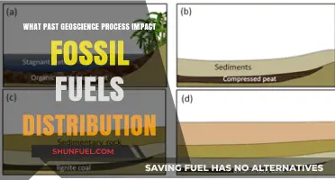 Ancient Geoscience Processes Shaping Today's Fossil Fuel Distribution