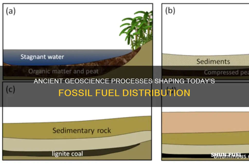 what past geoscience process impact fossil fuels distribution